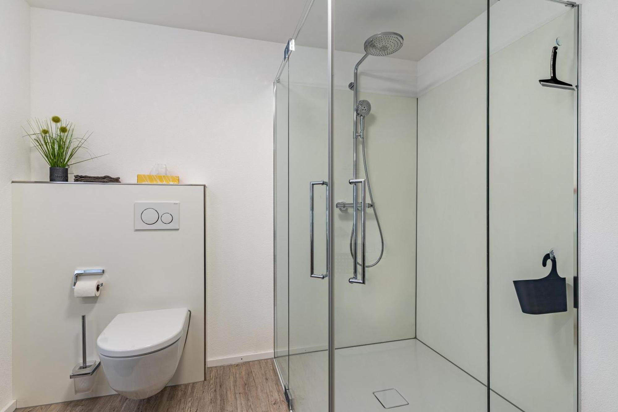 Schuttertal Ferienwohnung Schaetzle מראה חיצוני תמונה